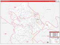 Lynchburg City, Va Carrier Route Wall Map
